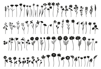 Wildflower detailed black silhouette set, minimal style. Hand drawn diverse meadow flowers, herbs, and wild plants. Botanical elements for design projects. Vector illustration