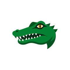 cartoon crocodile head isolated