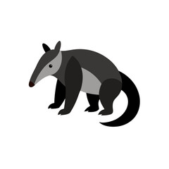Fototapeta premium vector image of a kangaroo