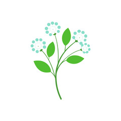vector illustration of flowers