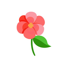 Fototapeta premium pink flower isolated on white
