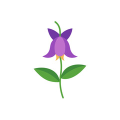 Obraz premium purple flower isolated on white background