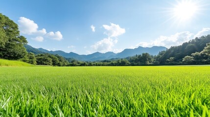 Fototapeta premium Lush green field stretches towards mountains under a vibrant blue sky