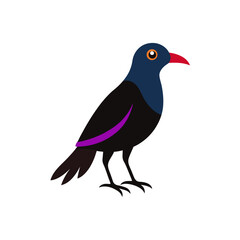 Fototapeta premium crow on a white background