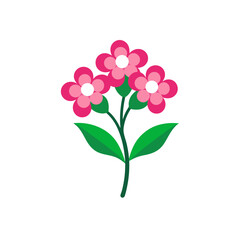 pink orchid isolated on white