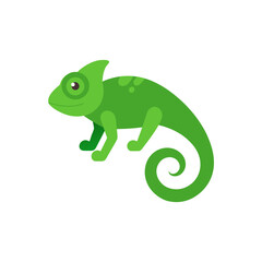 chameleon cartoon isolated on white