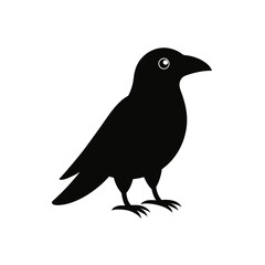 Fototapeta premium crow on a white background