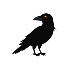 Fototapeta premium crow on a white background