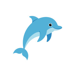 dolphin isolated on white background