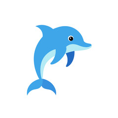 dolphin isolated on white background