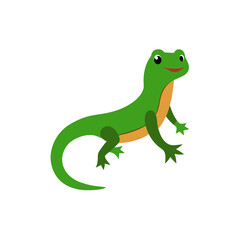 Fototapeta premium green frog on white background