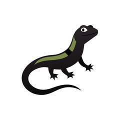 Obraz premium lizard on white background
