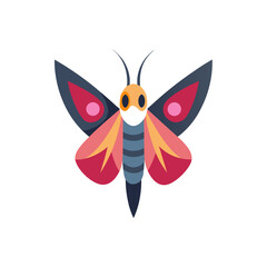 Obraz premium butterfly on white background