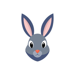 Obraz premium white rabbit isolated on white