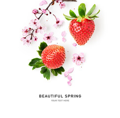 Strawberry, cherry flowers blossom photography isolated on white background.