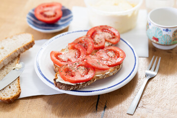 Delicious bruschetta with fresh tomatoes on ciabatta slices on a plate