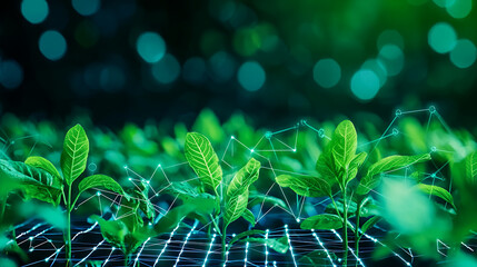 Green plants growing in digital environment, showcasing technology and nature harmony, symbolizing growth and innovation