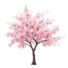 Fototapeta premium Pink-Cherry-Blossom-Tree-Isolated-on-Black