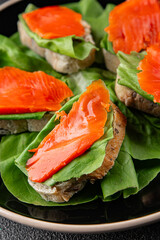 Salmon sandwich red fish seafood appetizer dish fresh tasty gourmet food background on table rustic food top view copy space 
