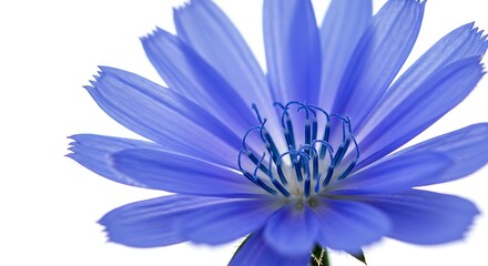 Azure Embrace AI Generated