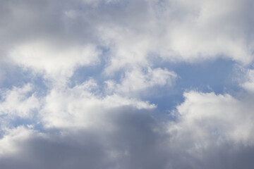 Fototapeta premium big puffy clouds passing by, large gray clouds, a few blue patches of sky are visible, grey passing clouds and a few blue spots, white fluff in the sky, grey haze accumulation with blue background