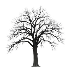 Obraz premium Abstract_Tree_Art_Black_and_White_Nature_Illustration