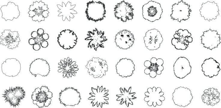 Versatile tree top view illustration set, perfect for architectural designs and landscape planning.  tree silhouettes enhance any project with natural elegance