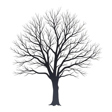 Bare_Tree_Illustration_Winter_Tree_Graphic_Design