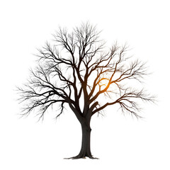 Obraz premium Bare-Tree-Silhouette-against-Sunset_Autumn_Winter_Landscape