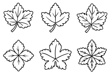 Geranium Leaf Line Art Illustration Simple Design for Nature Lovers 
