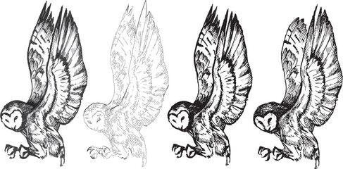 Graphic Design Element Dark scary Halloween animal bird sketch Set line drawing clipart owl bird gothic predatory animal contour sketch pen engraving style print witch theme illustration black & white