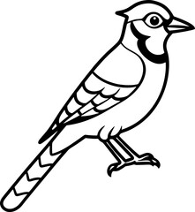 Blue Jay bird simple black line art image, Black bold outline vector icon, Bird vector illustration