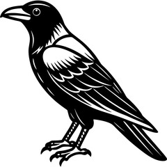 Crow bird black silhouette vector, Simple silhouette Design vector icon with white background., Bird vector illustration
