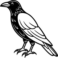 Crow bird simple black line art image, Black bold outline vector icon, Bird vector illustration