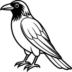 Obraz premium Crow bird simple black line art image, Black bold outline vector icon, Bird vector illustration
