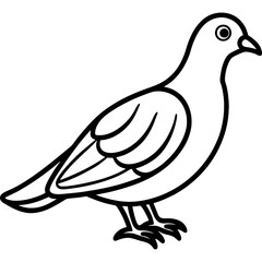  Dove bird simple black line art image, Black bold outline vector icon, Bird vector illustration