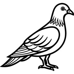  Dove bird simple black line art image, Black bold outline vector icon, Bird vector illustration