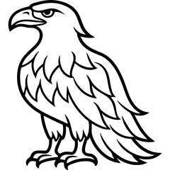 Eagle bird simple black line art image, Black bold outline vector icon, Bird vector illustration