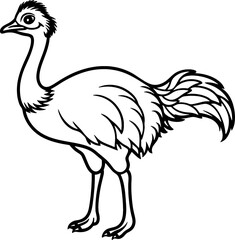 Emu bird simple black line art image, Black bold outline vector icon, Bird vector illustration