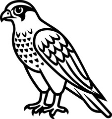 Falcon bird simple black line art image, Black bold outline vector icon, Bird vector illustration