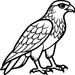 Hawk bird simple black line art image, Black bold outline vector icon, Bird vector illustration