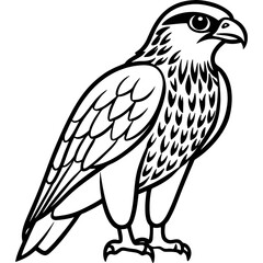 Hawk bird simple black line art image, Black bold outline vector icon, Bird vector illustration