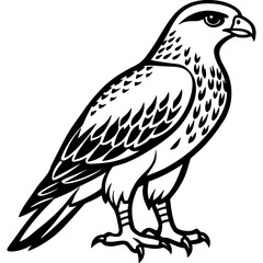 Hawk bird simple black line art image, Black bold outline vector icon, Bird vector illustration