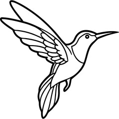 Hummingbird bird simple black line art image, Black bold outline vector icon, Bird vector illustration