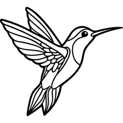 Hummingbird bird simple black line art image, Black bold outline vector icon, Bird vector illustration
