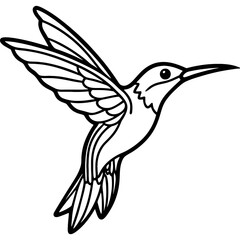 Hummingbird bird simple black line art image, Black bold outline vector icon, Bird vector illustration