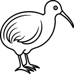  Kiwi bird simple black line art image, Black bold outline vector icon, Bird vector illustration