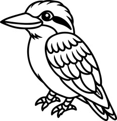 Kookaburra bird simple black line art image, Black bold outline vector icon, Bird vector illustration