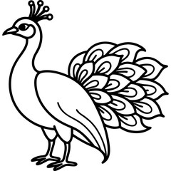 Peacock bird simple black line art image, Black bold outline vector icon, Bird vector illustration