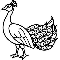 Peacock bird simple black line art image, Black bold outline vector icon, Bird vector illustration